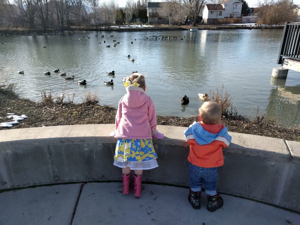 Kids and Ducks