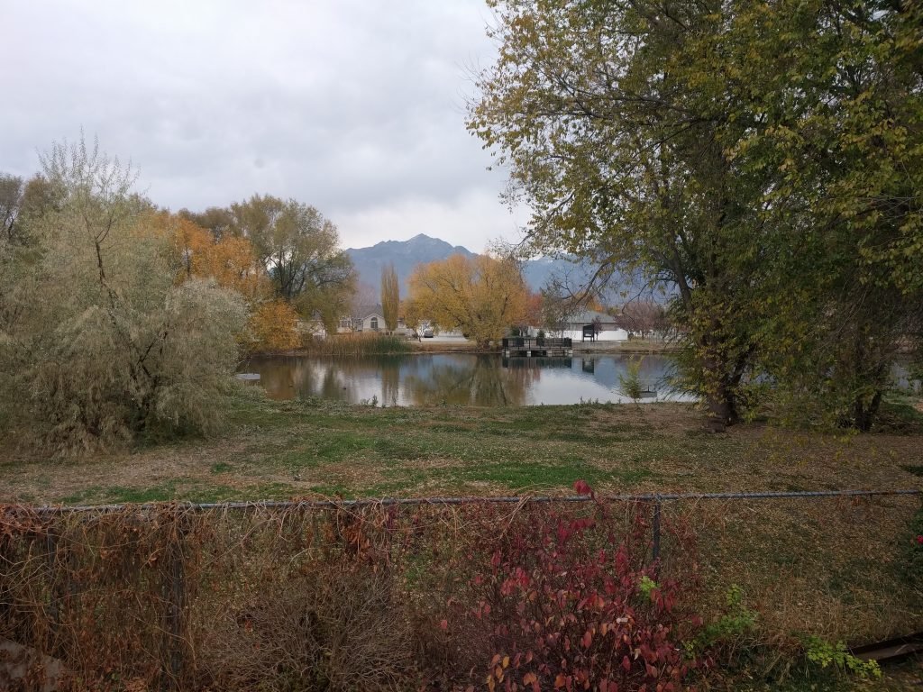 Autumn Pond