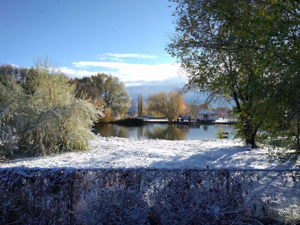 Winter Pond
